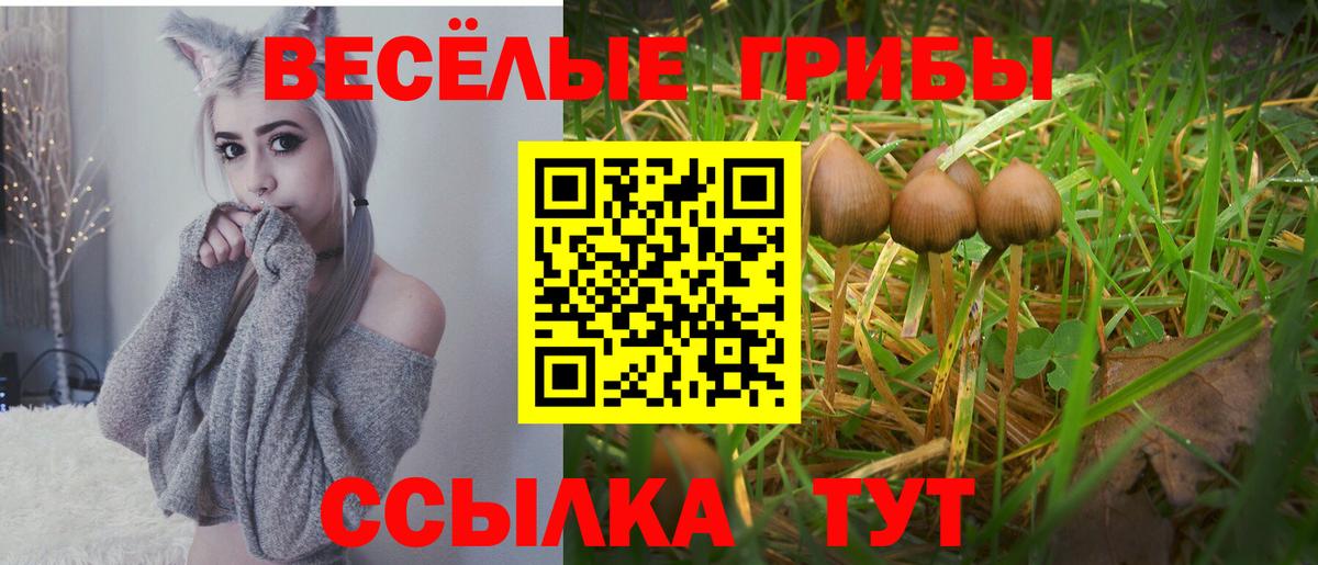 Канабис  А ПВП СОЛЬ   Малгобек  Мефедрон   Наркошоп  ГАШИШ  Вход с VPN 